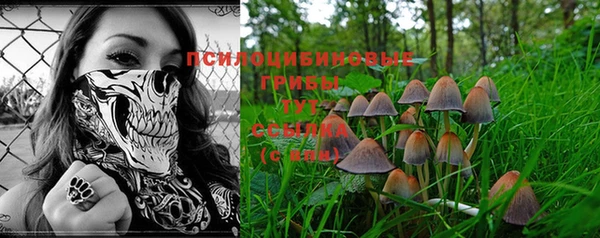 ГАЛЛЮЦИНОГЕННЫЕ ГРИБЫ Алексеевка