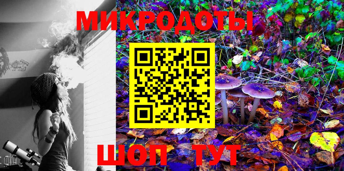 Красноуфимск  Галлюциногенные грибы Psilocybine cubensis  Вход с VPN 